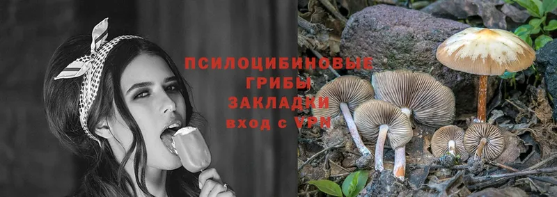 Галлюциногенные грибы Cubensis  Анадырь 